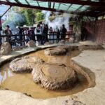 Muzyczne podróże przez świat. Japonia. Beppu / Fot. Danuta Rasała