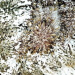 Kielce. Zima - Radio Kielce