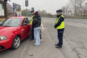 08.11.2024. Sandomierz. Akcja „Trzeźwy kierowca - bezpieczna droga" / Fot. Grażyna Szlęzak - Radio Kielce