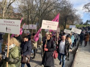 Turyści z różnych stron Polski biorą udział w Święcie Młodego Wina w Sandomierzu - Radio Kielce