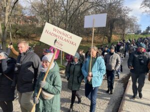 Turyści z różnych stron Polski biorą udział w Święcie Młodego Wina w Sandomierzu - Radio Kielce