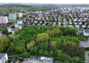 Kielce. Miejsce, gdzie ma powstać park Mikrolas Czarnowski / Fot. Wiktor Pytlak - KO