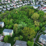 Kielce. Miejsce, gdzie ma powstać park Mikrolas Czarnowski / Fot. Wiktor Pytlak - KO