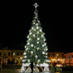 28.11.2024 Kielce. Choinka na Rynku / Fot. Wiktor Taszłow - Radio Kielce