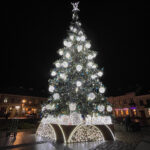 28.11.2024 Kielce. Choinka na Rynku / Fot. Wiktor Taszłow - Radio Kielce
