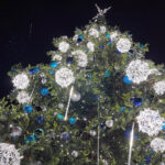 28.11.2024 Kielce. Choinka na Rynku / Fot. Wiktor Taszłow - Radio Kielce