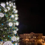 28.11.2024 Kielce. Choinka na Rynku / Fot. Wiktor Taszłow - Radio Kielce