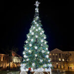 28.11.2024 Kielce. Choinka na Rynku / Fot. Wiktor Taszłow - Radio Kielce