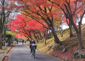 Japonia. Himejin / Fot. Danuta Rasała