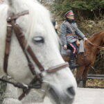 Kielce. Plastyk Śpiewanie pieśni patriotycznych - Radio Kielce