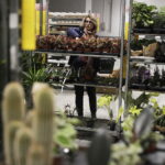 09.11.2024. Targi Kielce. Festiwal Roślin / Fot. Jarosław Kubalski - Radio Kielce