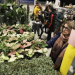 09.11.2024. Targi Kielce. Festiwal Roślin / Fot. Jarosław Kubalski - Radio Kielce