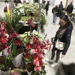 Tysiące roślin opanuje Targi Kielce