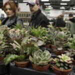 09.11.2024. Targi Kielce. Festiwal Roślin / Fot. Jarosław Kubalski - Radio Kielce