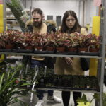 09.11.2024. Targi Kielce. Festiwal Roślin / Fot. Jarosław Kubalski - Radio Kielce