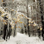 Kielce. Zima - Radio Kielce