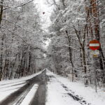 Kielce. Zima - Radio Kielce