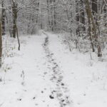 Kielce. Zima - Radio Kielce