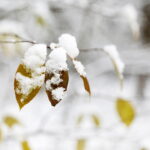 Od świętego Marcina zacznie się zima?