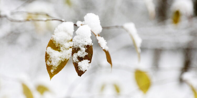 Od świętego Marcina zacznie się zima?