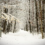 Kielce. Zima - Radio Kielce