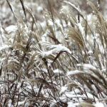 Kielce. Zima - Radio Kielce