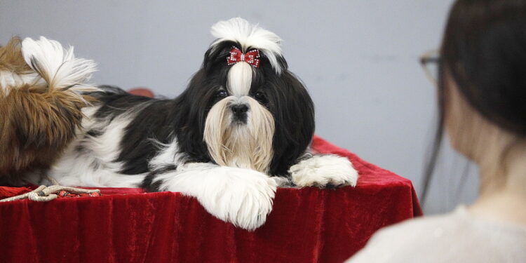 Fot. Jarosław Kubalski - Radio Kielce