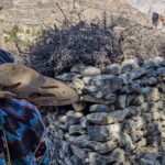 MUZYCZNE PODRÓŻE PRZEZ ŚWIAT. Pakistan pod dachem świata - Radio Kielce