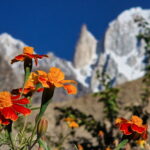 MUZYCZNE PODRÓŻE PRZEZ ŚWIAT. Pakistan pod dachem świata - Radio Kielce