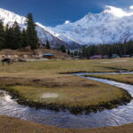 MUZYCZNE PODRÓŻE PRZEZ ŚWIAT. Pakistan pod dachem świata - Radio Kielce