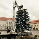 Choinka w tym roku większa i piękniejsza - Radio Kielce