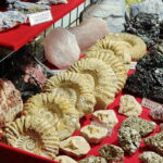 Niezwykłe kamienie na kieleckiej giełdzie minerałów - Radio Kielce