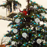 Choinka w tym roku większa i piękniejsza - Radio Kielce