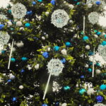 Choinka w tym roku większa i piękniejsza - Radio Kielce