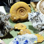 Niezwykłe kamienie na kieleckiej giełdzie minerałów - Radio Kielce