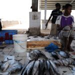 Muzyczne podróże przez świat. Jemen / Fot. D.J. Drayer Drajewicz