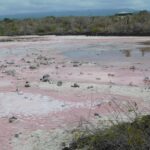 Muzyczne podróże przez świat. Galapagos / Fot. Barbara Libiszowska-Pawlak