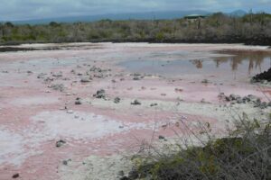 Muzyczne podróże przez świat. Galapagos / Fot. Barbara Libiszowska-Pawlak