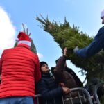 Końskie. Rozdawanie choinek podczas Jarmarku Bożonarodzeniowego / Fot. Magdalena Galas-Klusek - Radio Kielce