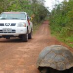 Muzyczne podróże przez świat. Galapagos / Fot. Barbara Libiszowska-Pawlak