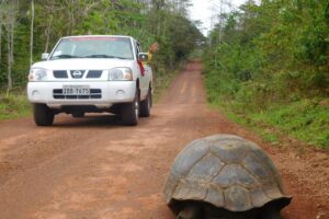 Muzyczne podróże przez świat. Galapagos / Fot. Barbara Libiszowska-Pawlak