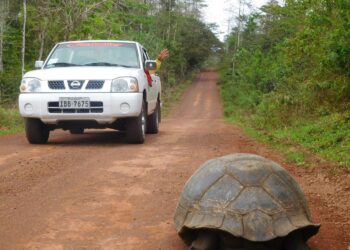 Muzyczne podróże przez świat. Galapagos / Fot. Barbara Libiszowska-Pawlak