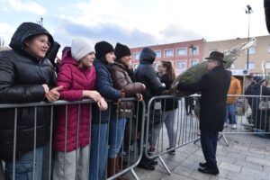 Końskie. Rozdawanie choinek podczas Jarmarku Bożonarodzeniowego / Fot. Magdalena Galas-Klusek - Radio Kielce