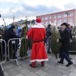 Końskie. Rozdawanie choinek podczas Jarmarku Bożonarodzeniowego / Fot. Magdalena Galas-Klusek - Radio Kielce