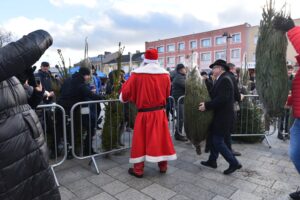 Końskie. Rozdawanie choinek podczas Jarmarku Bożonarodzeniowego / Fot. Magdalena Galas-Klusek - Radio Kielce