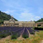 Muzyczne podróże przez świat. Prowansja / Fot. Grażyna Woźniczka