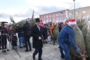 Końskie. Rozdawanie choinek podczas Jarmarku Bożonarodzeniowego / Fot. Magdalena Galas-Klusek - Radio Kielce