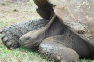 Muzyczne podróże przez świat. Galapagos / Fot. Barbara Libiszowska-Pawlak