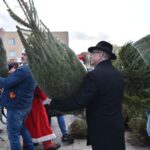 Końskie. Rozdawanie choinek podczas Jarmarku Bożonarodzeniowego / Fot. Magdalena Galas-Klusek - Radio Kielce
