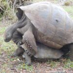 Muzyczne podróże przez świat. Galapagos / Fot. Barbara Libiszowska-Pawlak